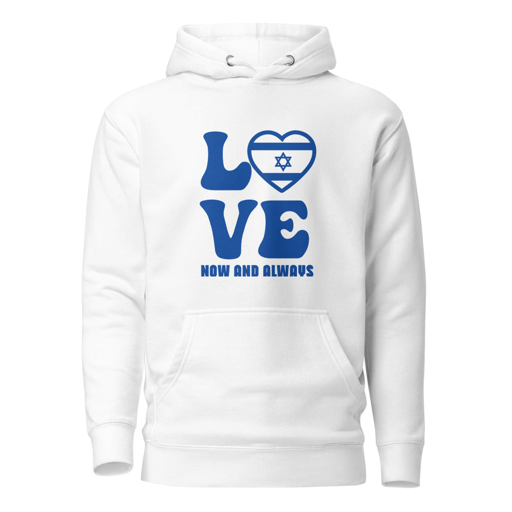Love Now and Always - Premium Pullover Hoodie