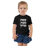Pesach Matza Maror - Toddler T-shirt