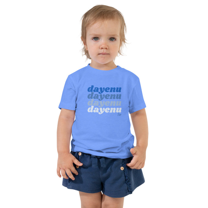 Dayenu Dayenu Dayenu Dayenu - Toddler T-shirt