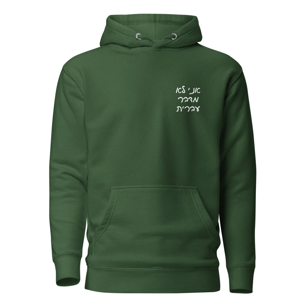 Ani Lo Medaber Ivrit - Premium Pullover Hoodie