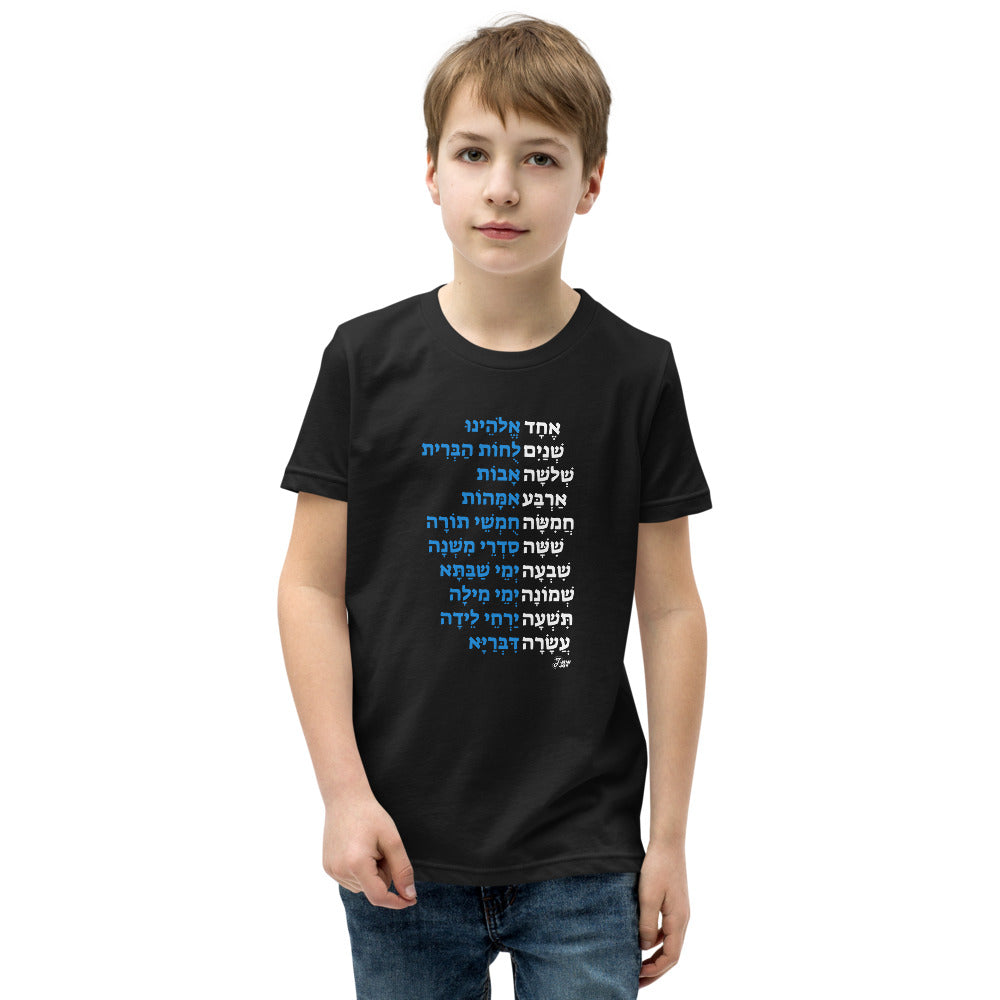 Echad Mi Yodea - Youth T-shirt